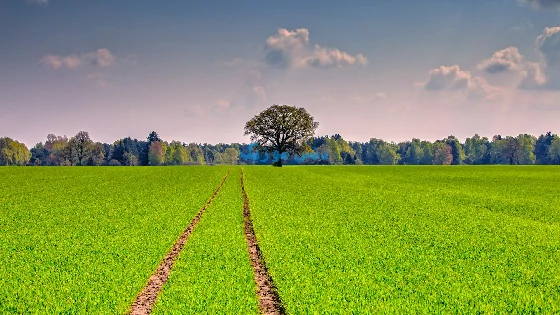 آهنگ دیگه منو از دست دادی تو چشام بودی ولی افتادی مرتضی وکیلی ریمیکس + صدای زن